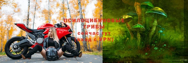 хмурый Горнозаводск