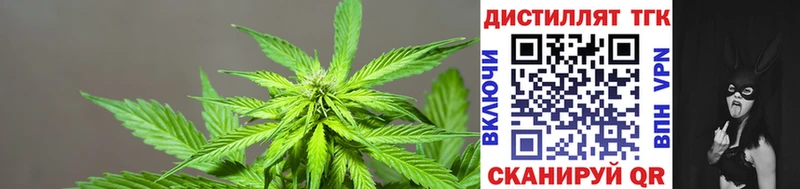ТГК Wax  KRAKEN вход  Ельня  купить  сайты 