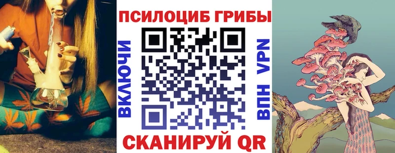 купить   Ельня  Галлюциногенные грибы ЛСД 