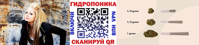 KRAKEN зеркало Ельня Марихуана гибрид